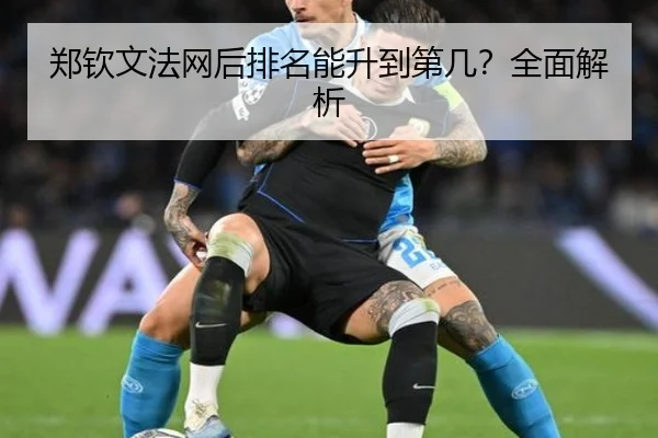 郑钦文法网后排名能升到第几？全面解析